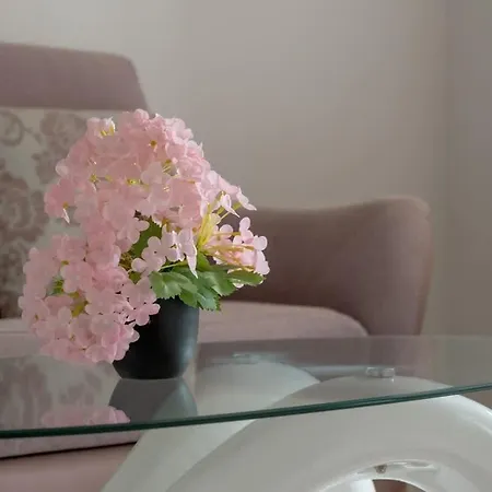 Cosy In With Parking Niciarniana By Renters 아파트